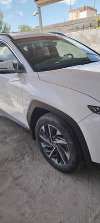 توسان خليجي • ٢٠٢٣ • رقم بابل