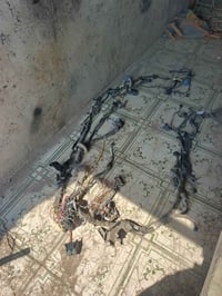 ضفيره محرك • النترا • ٢٠٢٣