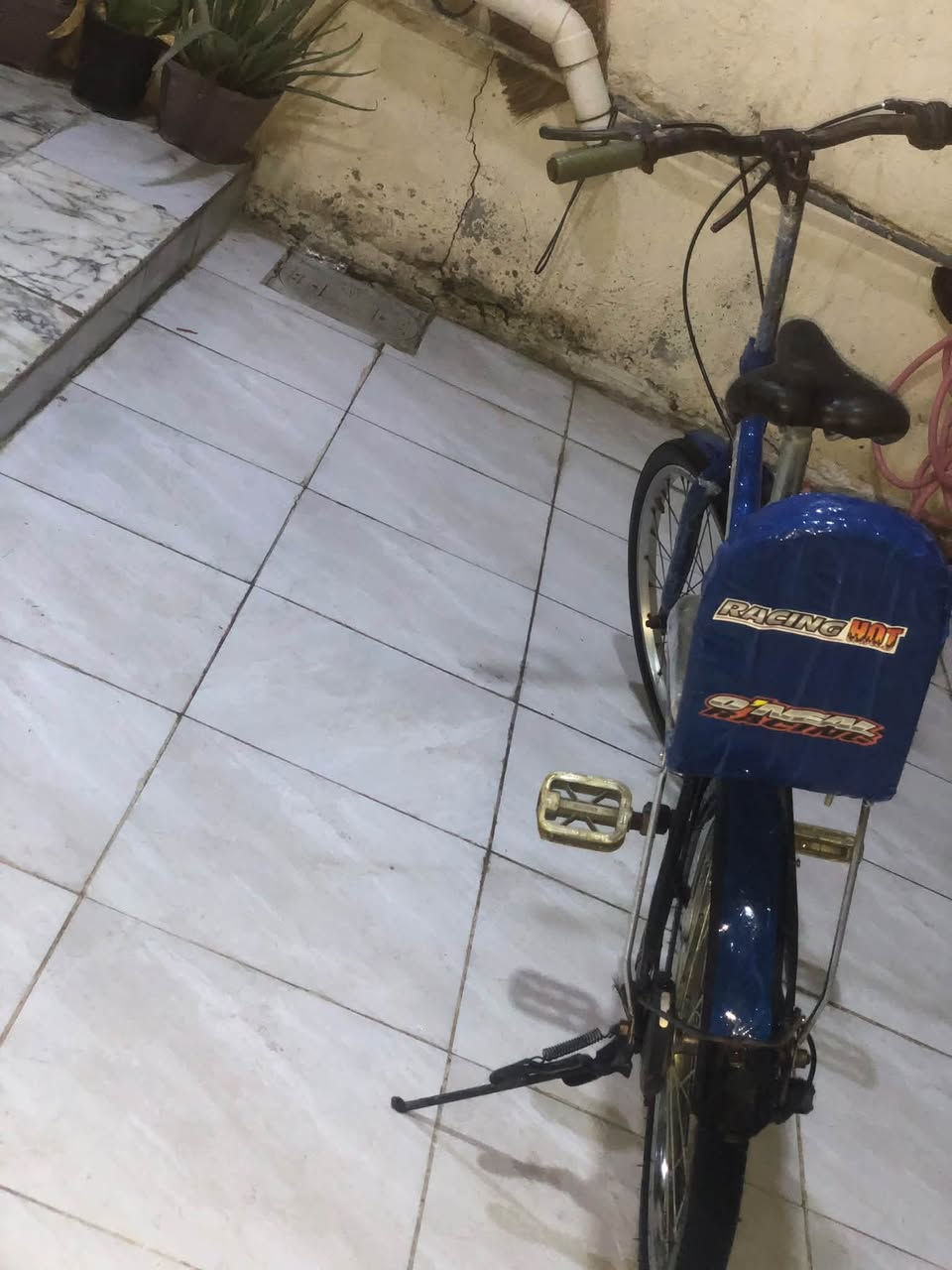 باسكل • حجم ٢٠ • جديد