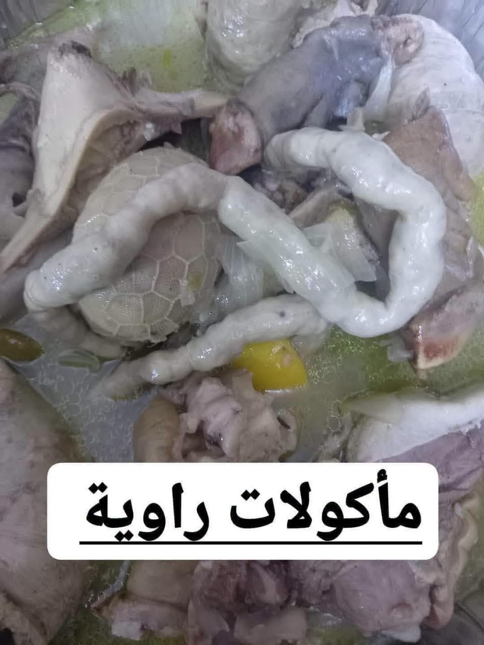 لك الحمد والشكر يارب عروضنا مستمرة لحكو العروض لمدة٣ تبدأ الاثنين وتنتهي الاربعاء لحم الله شاهد كلة عراقي من الكصاب كل شغلنا 
العرض الاول😍 باجة طلي ب٣٥ الف 
العرض الثاني😍 جدر دولمة عائلي ب٢٥ الف  
العرض الثالث😍 طرشي دبة ب١٠ الف وزن الدبة ٣ كيلو 
الكيلو ب٥
مكدوس جوز الكيلو ١٢
كل ٢ كيلو ب٢٠ الف 
العرض الرابع😍  منسف جما ع تمن ب٣٠ الف 
والمنسف الكبير ب٦٥ الف
 العرض الخامس 😍 كبة تمن او جريش لحم ١٠٠ قطعه ب ٦٥ الف 
ال ٥٠ قطعه ب٤٠ الف 
كبة دجاج ١٠٠قطعه ب٤٠ الف 
ال ٥٠ قطعة كبة دجاج ب٢٥ الف 
٥٠قطعه كبة دجاج جريش او تمن 
٥٠ قطعه كبة لحم ب٥٥ الف
 يوجد زيتون وورد وكبر وصل وجبة جديدة ليحب يحجز يتفضل خاص او وت ساب *********** *********** الرقمين بيهم وت ساب توصيل داخل وخارج الرمادي

نص مكتوب في الصور:
- مأكولات راوية
- @مأكولات راوية