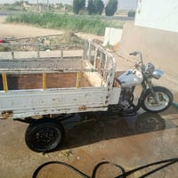 ستوته • ٢٠١٠ • ديوانيه