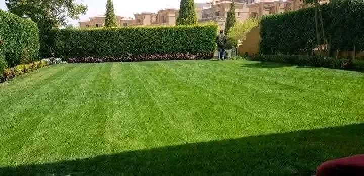 حدقجي 🌱 متخصص لعمل كافه الديكورات والأحجار والاين البنل التركي وزراعة وتقليم الأشجار
