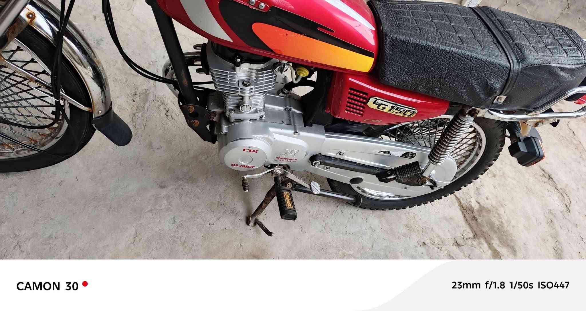 تايگر • ٢٠٢١ • اربعه گير
