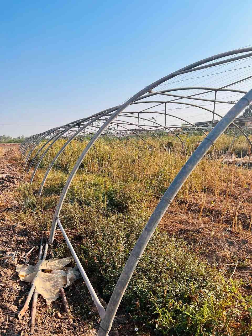السلام عليكم 
بيوت زجاجية  نوع اردني عدد 2 للبيع24قوس البيت مع لأيلون ابو سته  اللاستفسار

‭***********‬
