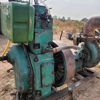 ماطور هندي • ٦.٦ • مدينه الباقر