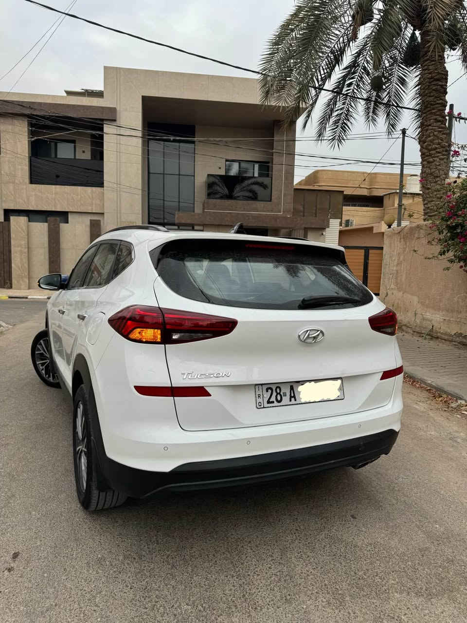 توسان • ٢٠٢٠ • رقم نجف