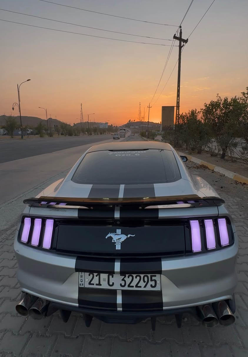 الوحيده والنضيفة بكركوك 💪🐎 
انعرضت  للبيع 🐎

🛑 موستنك موديل 17 
🛑 لون سلفر 
🛑 سياره وضع الشركه كلشي بيها جديد 
🛑 محرك 6 المرغوب / دهن جديد 
🛑 رقم سليمانيه 
🛑 هزه سنويه جديد كله 
🛑 محدث بجم شيلبي /500GT 
🛑 لحيه وزعانف اضافيات 
🛑بك لايت متغير الوان جديد عليها 
🛑دفيوزرات جوانب وخلفيات جدد
🛑 دواخل نضافه فول 
🛑 حادثها / بونيد مبدل فقط
🛑وجامرلغ يمين كلير ب امريكا
🛑 كير اوتماتيك / دهن جديد ) 
🛑صالنصه رياضي / داون بايب / اكس بايب ) 
🛑بوابات تحكم ريمونت 
🛑صوت رعب 🚀
🛑وياله فويزن عليها تو سايز 20 
🛑لوك هنه والتايرات
🛑كير محرك اكسل كله شرط / 
⭕️عليها غرامه 10 اوراق ينزل من سعرها
⭕️شرط تحويل 
📞اتصل وبيك خير وتدلل متفيدك
اذكرنه بتعليق حلو مثلك
*********** كركوك, العراق
