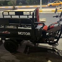 ستوته • موديل ١٩ • بدون أوراق