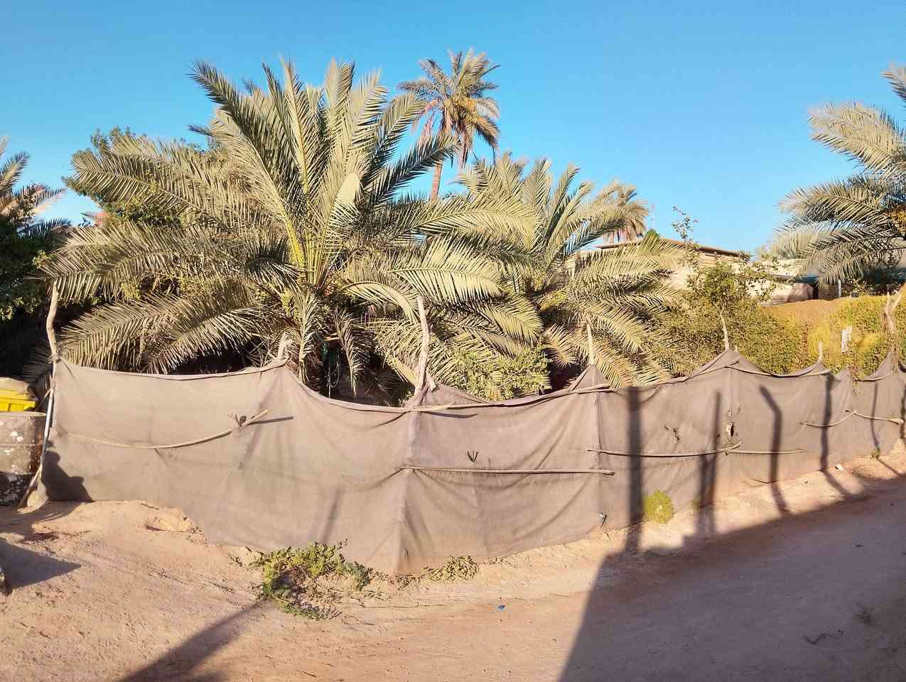 بيت مع ارض للبيع المساحة 450 متر الموقع جداً ممتاز كربلاء طويريج الحولي خلف المعارض
📢للاستفسار 
📞 للاتصال على الرقم التالي 
📞***********
📞***********
