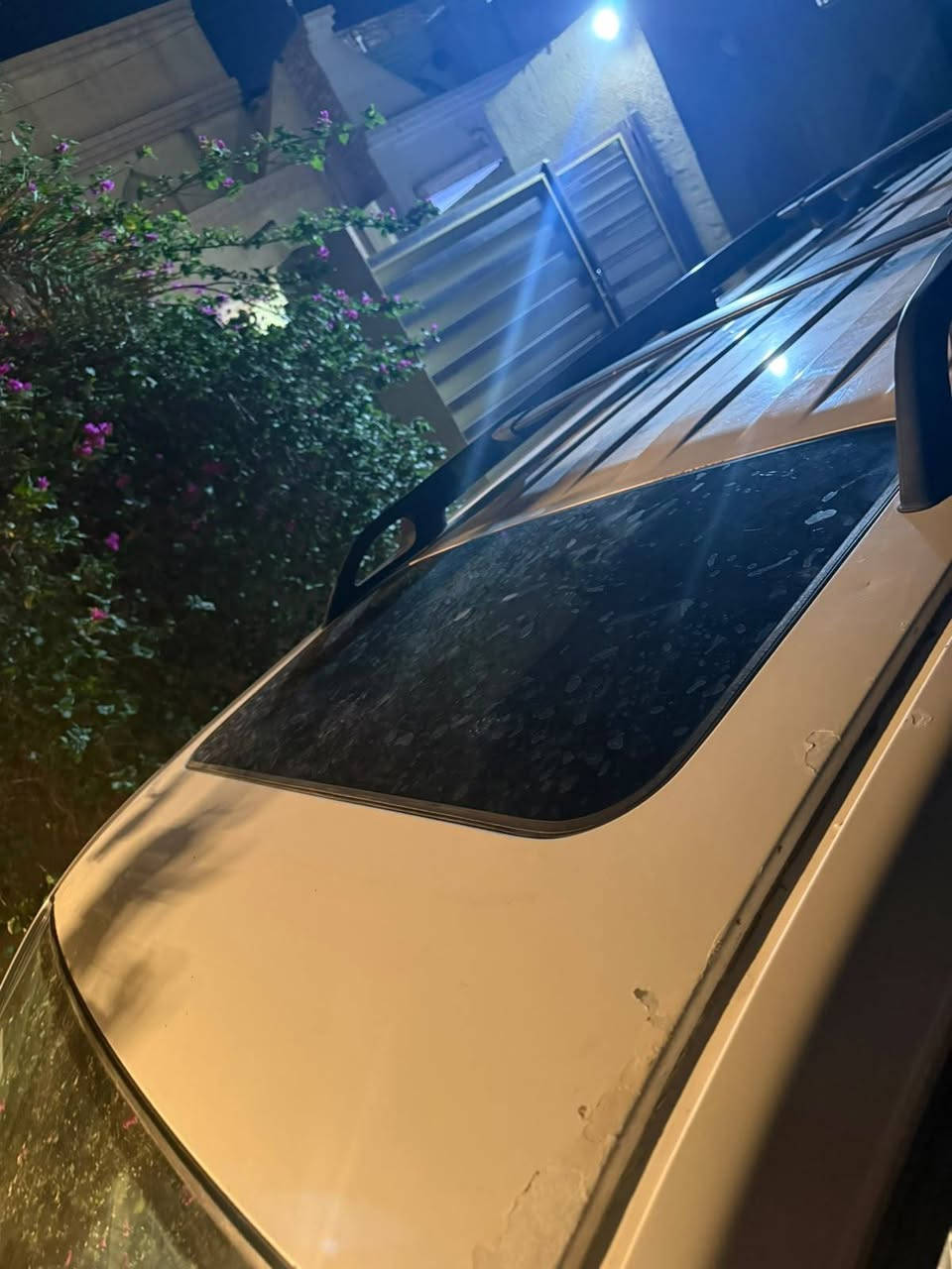 بافندر • ٢٠٠٦ • ٧ راكب