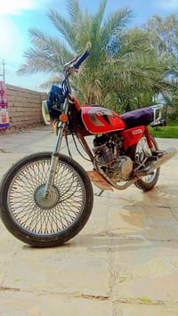 تايگر • اوراق • ٢٠٢١