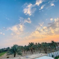 3 دونم طابو زراعي سند 25 ; طابو الكاظميه . واجهه الدونم 27 تباع تقطيع ...