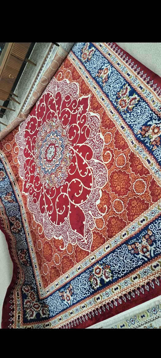 زولية • ٣×٤ • موسم واحد