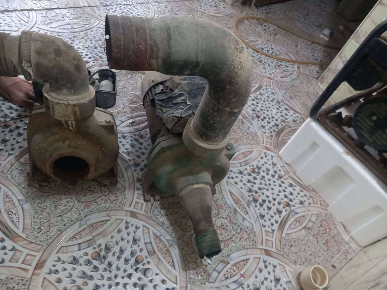 سلام عليكم ماطور عدد 2واحد 3حصان ولثاني ابو 2 شغالات عله الفحص ابيع 2فقط واحد مابيع تجي تفحص وتاخذهن ‏‪***********‬‏ رقم راعيهن سعر 300وبيه مجال بصيط
