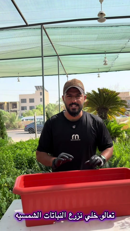 تعالو خلي نزرع النباتات الشمسيه #abed_flower #شعب_الصيني_ماله_حل😂😂 #العراق #نباتات #مشاتل 

نص مكتوب في الصور:
- تعالو خلي نزرع النباتات الشمسيه