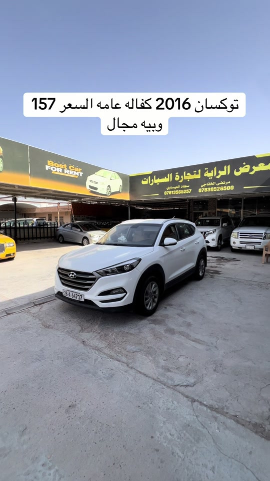 سياره موجوده بنجف المعارض الجديده معوض الراية #معرض_الراية_لتجاره_السيارات🚘 #مرتضى_الخفاجي_لتجارة_السيارات #العراق🇮🇶 #مشاهير_العالم #مشاهير 

نص مكتوب في الصور:
- توكسان 2016 كفاله عامه السعر 157 وبييه مجال