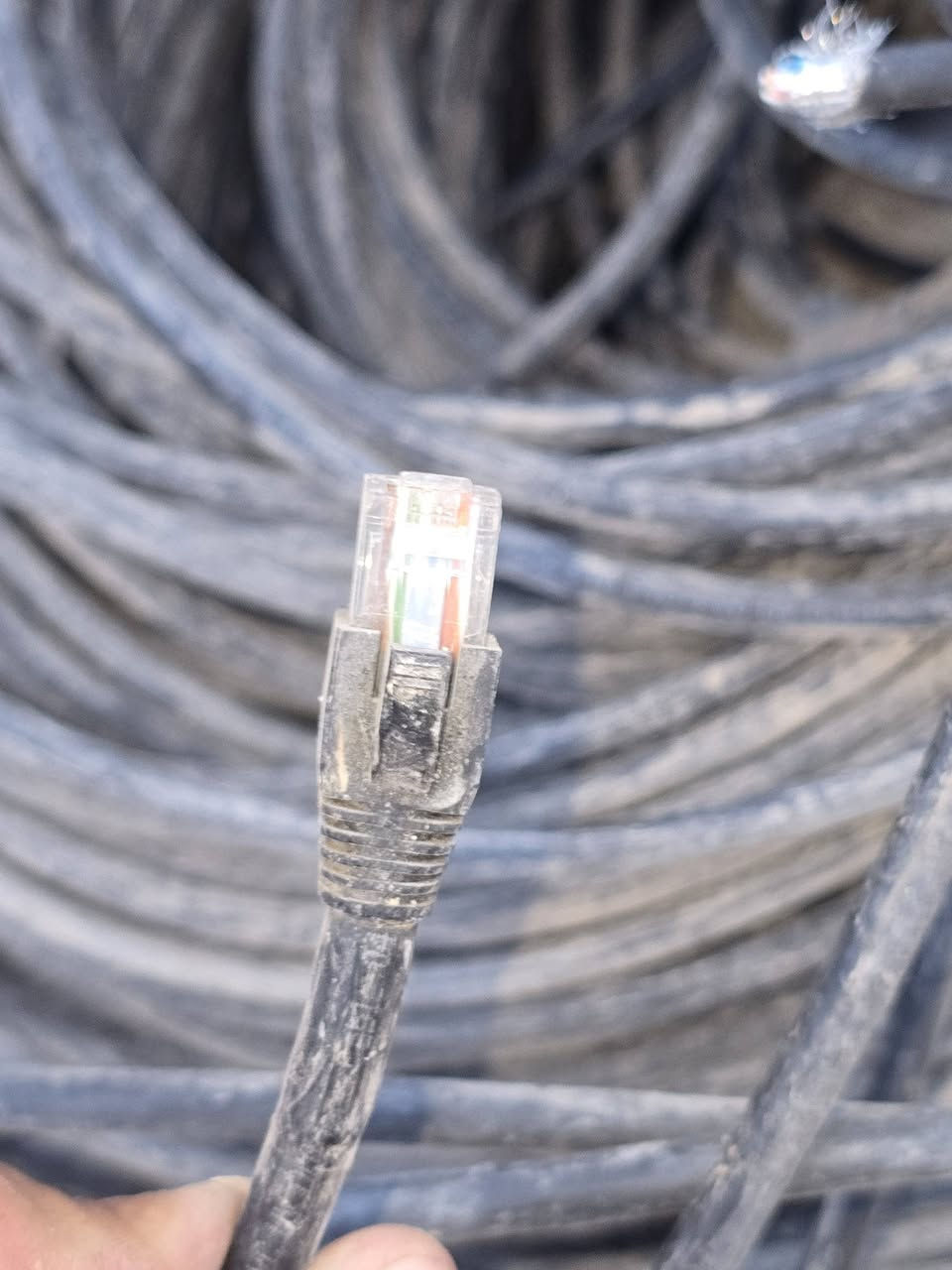 مجموعه كيبلات كات 6 دبل تغليف بيهن وتفييش بيهن وايرات كلش نضيفات عددهن تقريبا ٦٠ ..
طول من ١٨ لل ٣٥ متر
قيم واخذ
كربلاء 
***********
م
