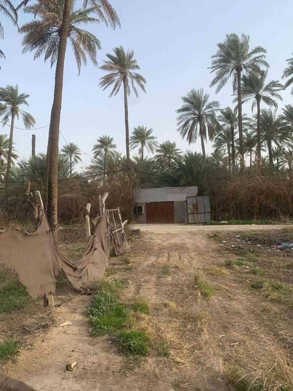 سلام عليكم 
قطعة ارض للبيع المساحة 300 م 
الواجهه على الشارع الرئيسي / 14 متر وعلى الفرعي 20 متر =  المجموع 34 متر  
النزال / 21 ونص متر 
الخدمات / ماء اساله + كهرباء + ماء بئر 
الموقع / بعقوبة - منطقة شفته 
 وبسعر مناسب جدآ ***********
