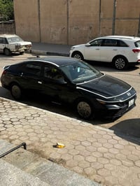 النترا ٢٠٢٤ • وارد امريكي • بدون صبغ