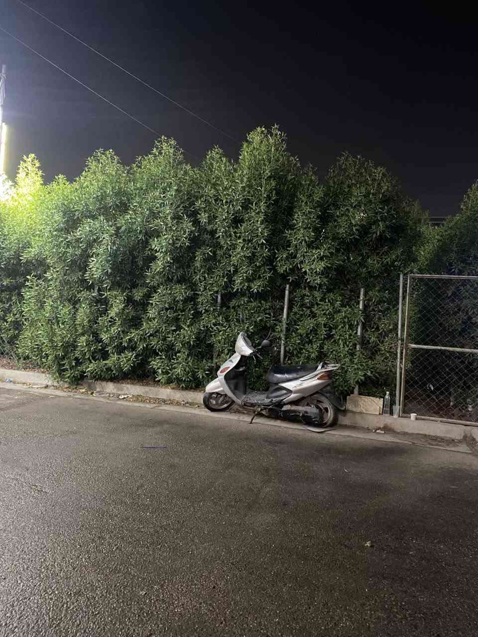 حي البساتين • ١٥٠م • طابو ملكي