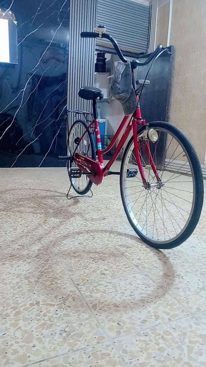 باسكل • نظيف • حلو