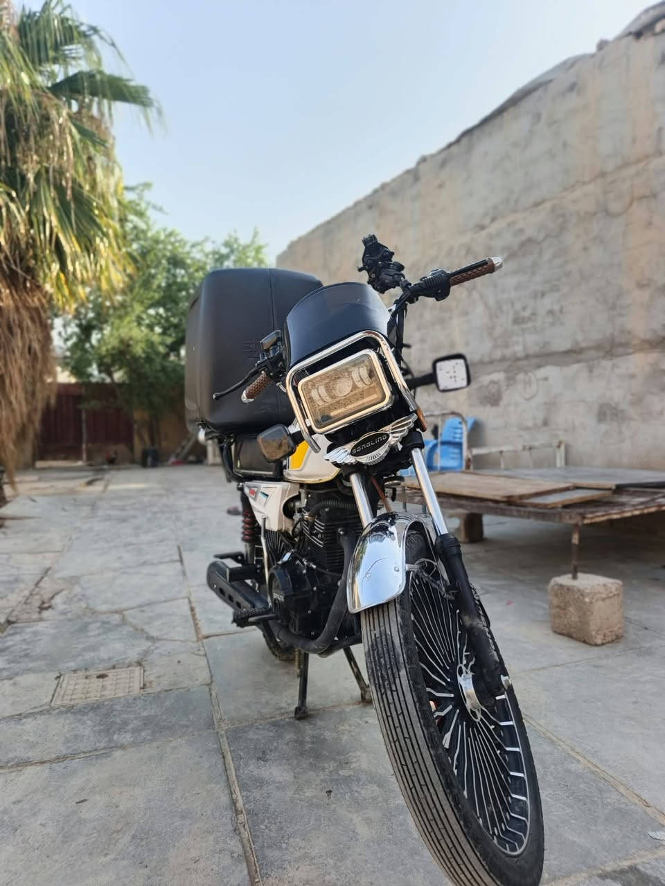 سونك • ٢٠٢٦ • اوراق