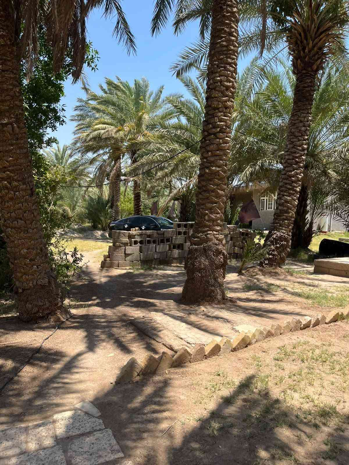 دونم ونص • بيتين • ٢٥٠م عن الطريق