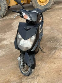 سكنس فحل • ياباني • نوزل