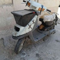 بزون • معدل فول • معمر جديد