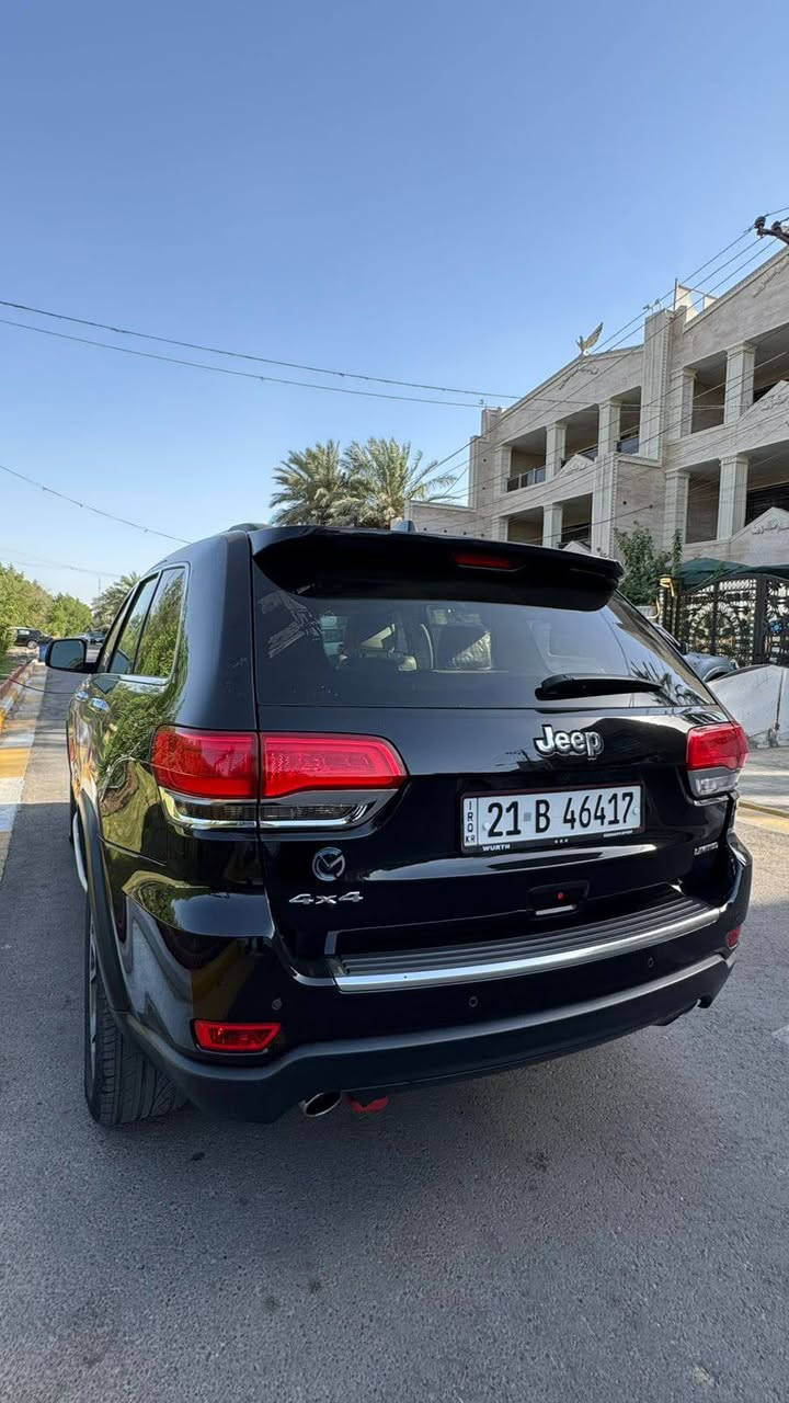 جيب • ٢٠١٩ • بدون صبغ