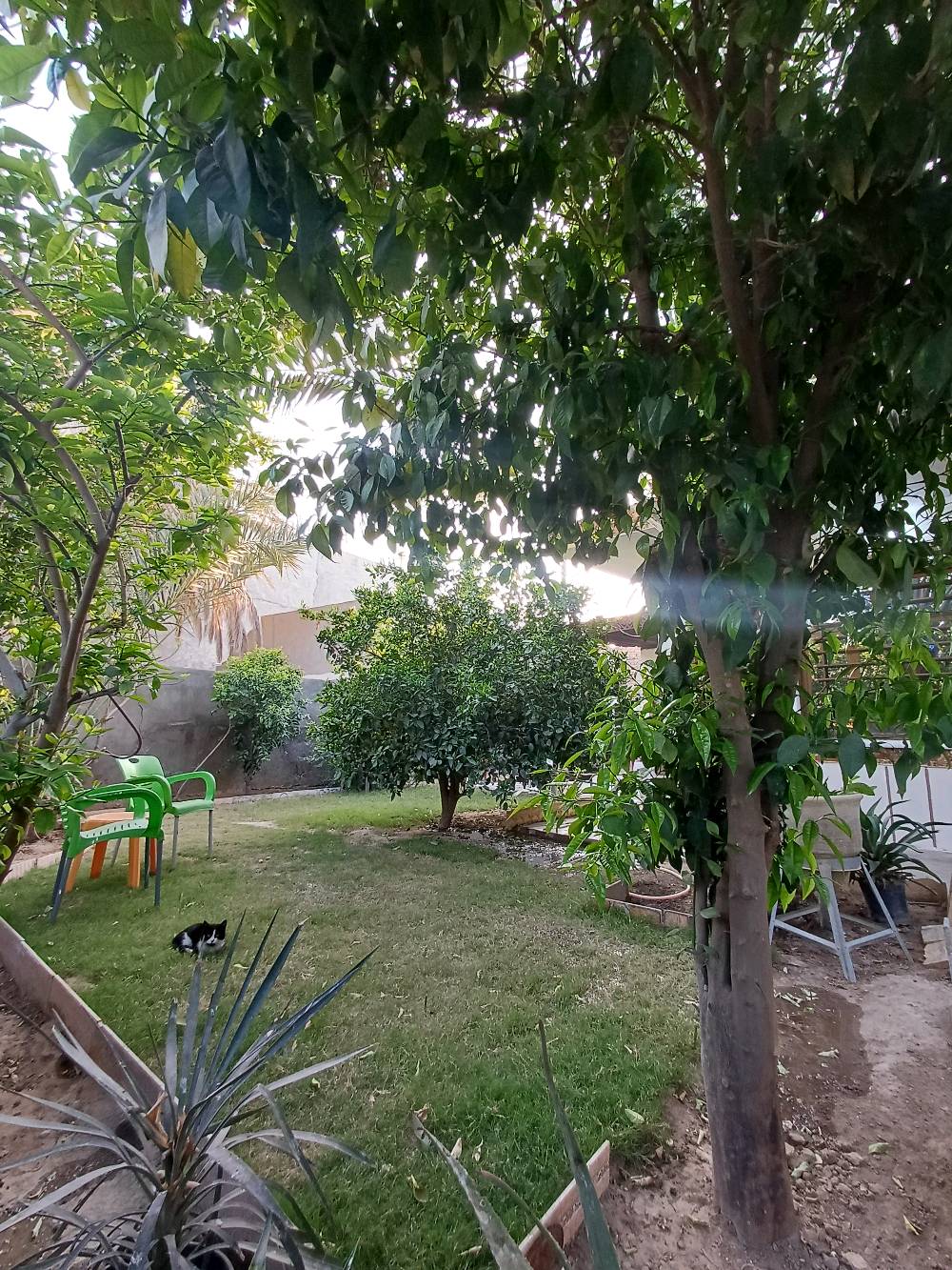 بيت للبيع في حي الهادي قرب مستشفى سامراء العام المساحة بالسند 285 واقع حال   400 وطالع من عنده محل ومشتمل 
السعر:300 وبيه مجال مع الاثاث 
طابو ملك صرف بيه غرفتين وهول وحمامين
للاستفسار: ***********
النزال 21 