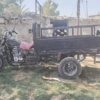 ستوته • شغال • مكينه خير