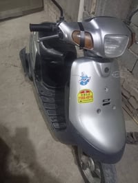 بطه • شغاله • جاهزه