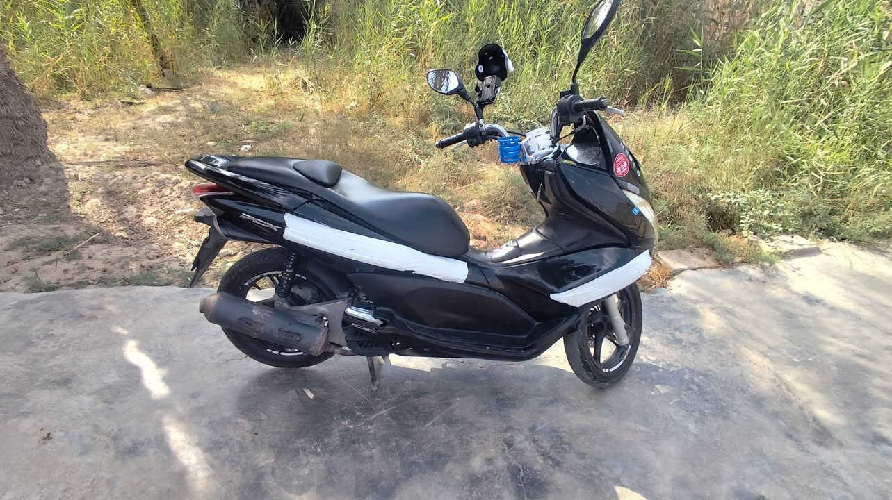 دراجه بيسي اكس جيل اول موديل 16مرحكها125ss الدراجه مكفوله كفاله من شاجصي من مرحك من تبخير خير من الله جيب فيتر وياك وتعال افحص دراجه شوي بيه شخوط بالكفرات بس هاي كلشي مملعوبه بيها مكاني ديالئ بعقوبه سعرها مليون ٤٠٠وبيها مجال شوي حك الجيه ‏‪***********‬‏ الاتصال
