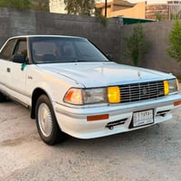 هارتوب • ١٩٩١ • كفاله عامه