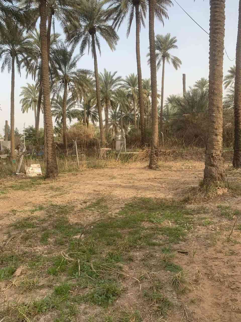 سلام عليكم 
قطعة ارض للبيع المساحة 300 م 
الواجهه على الشارع الرئيسي / 14 متر وعلى الفرعي 20 متر =  المجموع 34 متر  
النزال / 21 ونص متر 
الخدمات / ماء اساله + كهرباء + ماء بئر 
الموقع / بعقوبة - منطقة شفته 
 وبسعر مناسب جدآ ***********

