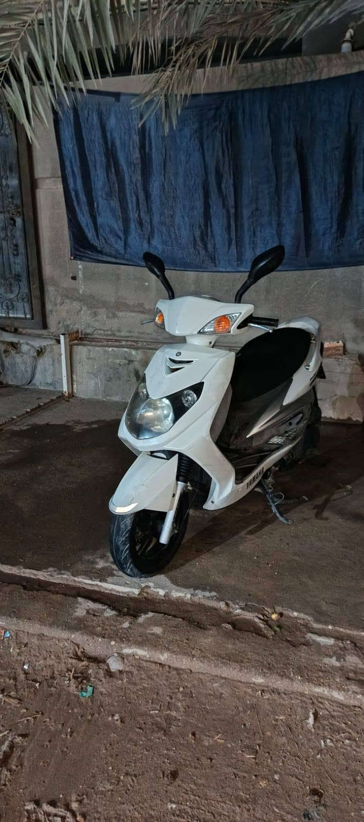 سكنس فحل • نشطة • ما بيها نقص