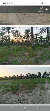 العزيزية • ١٠ دونم • طابو ٢٥