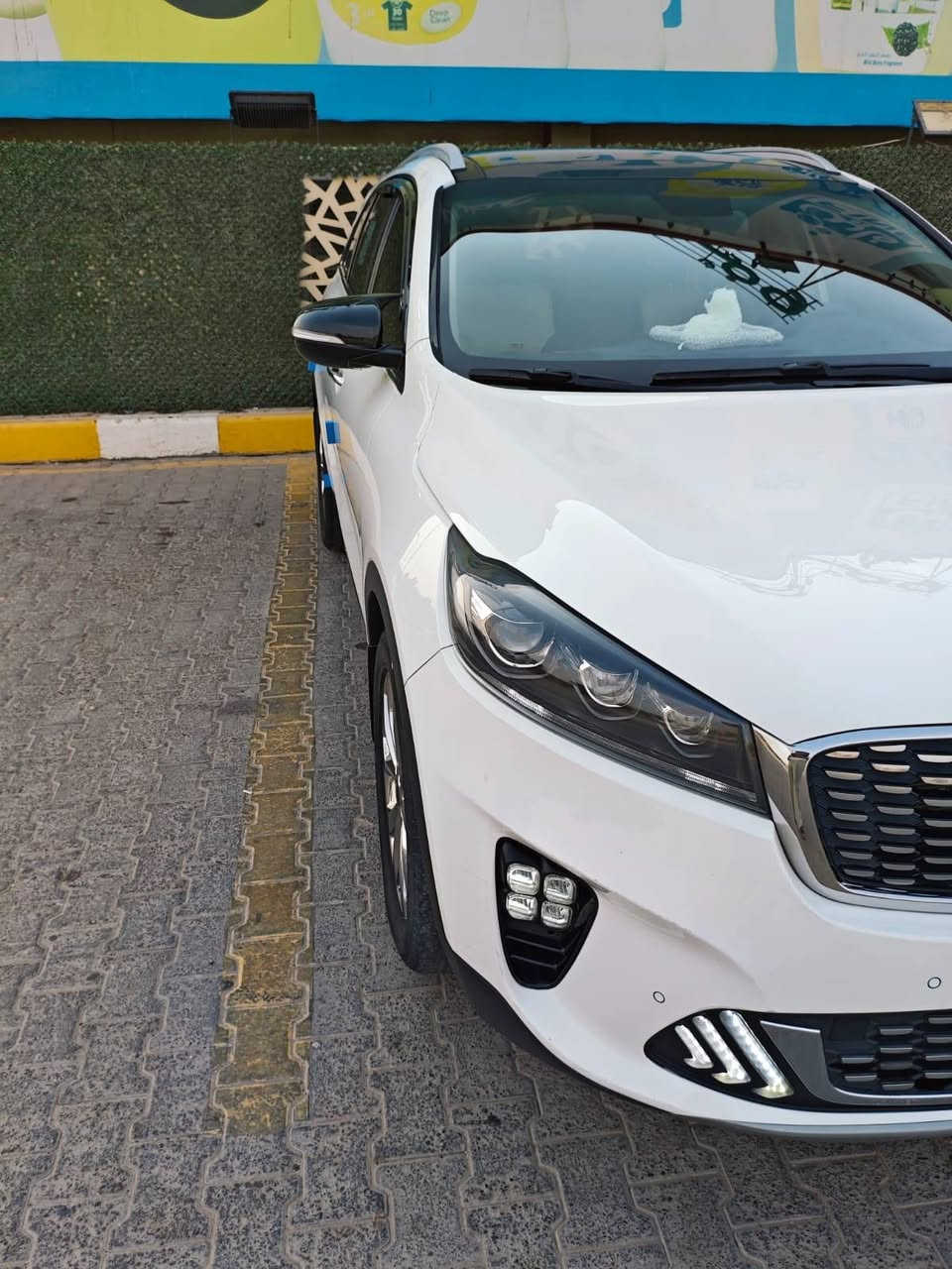 السلام عليكم ورحمه الله وبركاته 
كل الاحترام والتقدير للجميع 
بيع مراوس حسب القناعه
كيا سورينتو وارد خليجي موديل 2020 

رقم بغداد باسمي  انجليزي جديد   

السياره ماشيه 48 حقيقي 
السياره كفاله عامه
ملاحظه اصبعين فقط بارد 
فول واحد على واحد بانوراما
محرك 6 سلندر كفاله كفاله من فتح 
كير 8 نمر 
4 نظام قياده مثبت سرعه 
شاشه كاميرا حساس خلفي امامي 
دبل شباك لايت ثلاث عدسات 
ثلاث قطع تبريد سبعه راكب 
كشنات جلد كهرباء كهرباء 
مري شفط ترحيب بصمتين 
بصمه ابواب بصمه تشغيل 
حداديه خير من الله 
5 ويل كب 
العنوان النجف الاشرف 
السعر 248 مجال كلش بسيط 
مراوس حسب القناعه 
اتصال على الرقم  او مراسله واتساب اتصال
***********
اخواني المعذره ما اجاوب على التعليق
