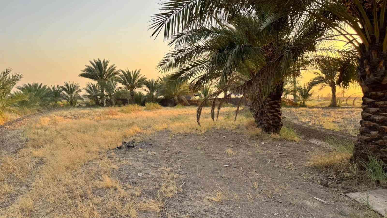 دونم مزرعه للبيع خدمات كامله  خلف جامعه بابل  سند 25 فاتح بيان تحويل مباشر
@السعر مناسب جدا   للاستفسار اكثر 

***********  فائز التميمي
