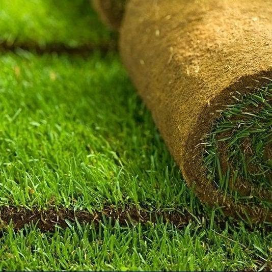 🌸 نعمل داخل بلد وخارج بلد 🫶
🌸زراعة الثيل 
🌸زراعة الاشجار 🌱🌲
🌸زراعة الورود وجميع نباتات 
 
اتصل على رقم الهاتف وتدلل 👈 ***********
