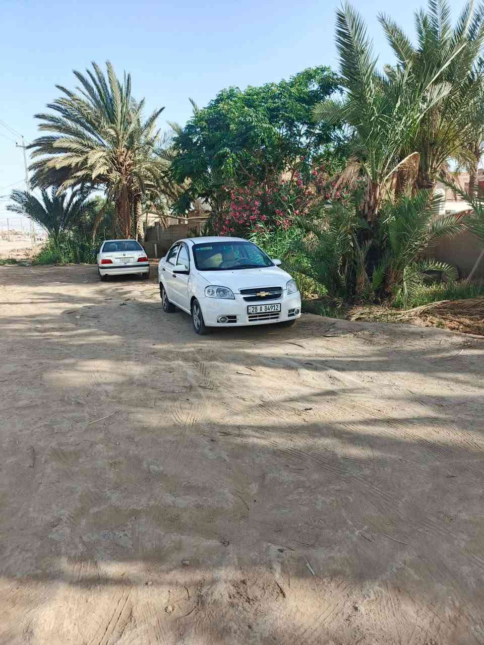 سلام عليكم افيو مكفوله فقط جاملغ تبديل سياره جديده محرك كير تبريد تخم تاير كله جديد رقم نجف بسمي سعره ٧٠وبيه مجال ***********
