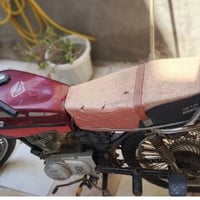 تايگر • ٢٠٢٠