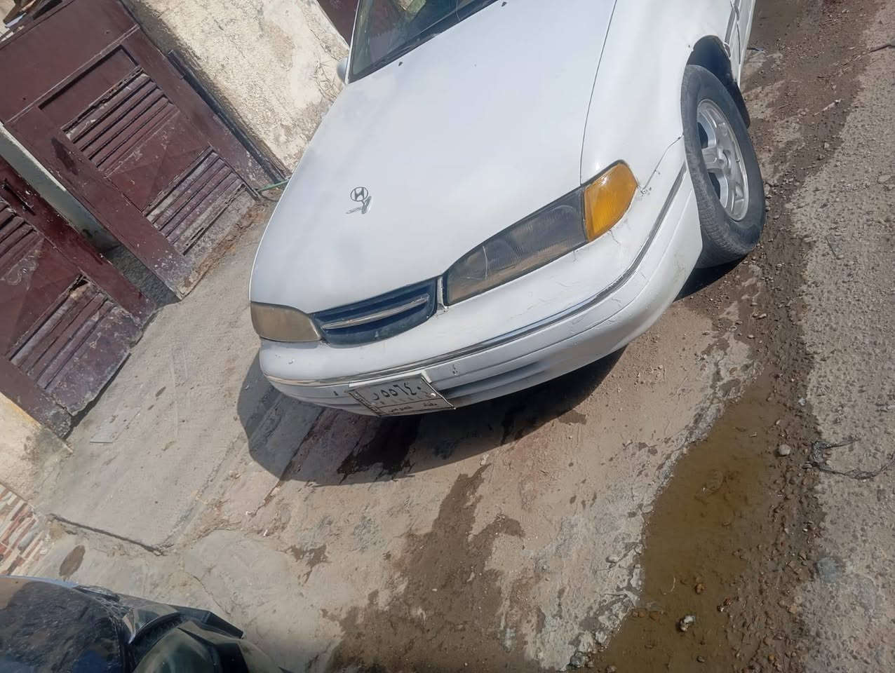 برنس • موديل ٩٦ • البياع