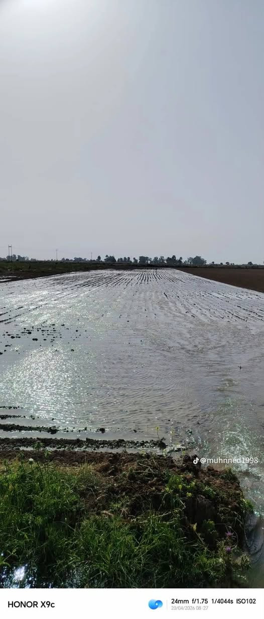 تعديل بالليزر • شرط التصفير • بابل المسيب