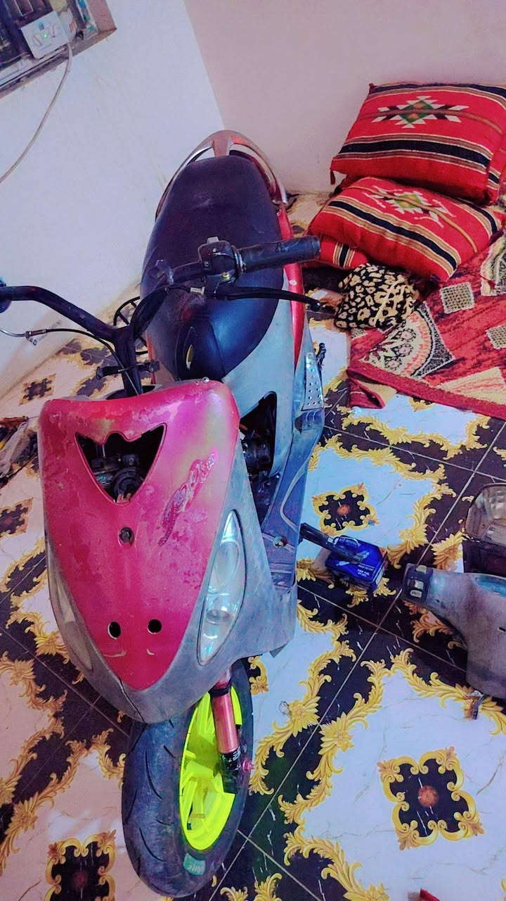 ماكس منغولي • تواير جدد • ١٧٥