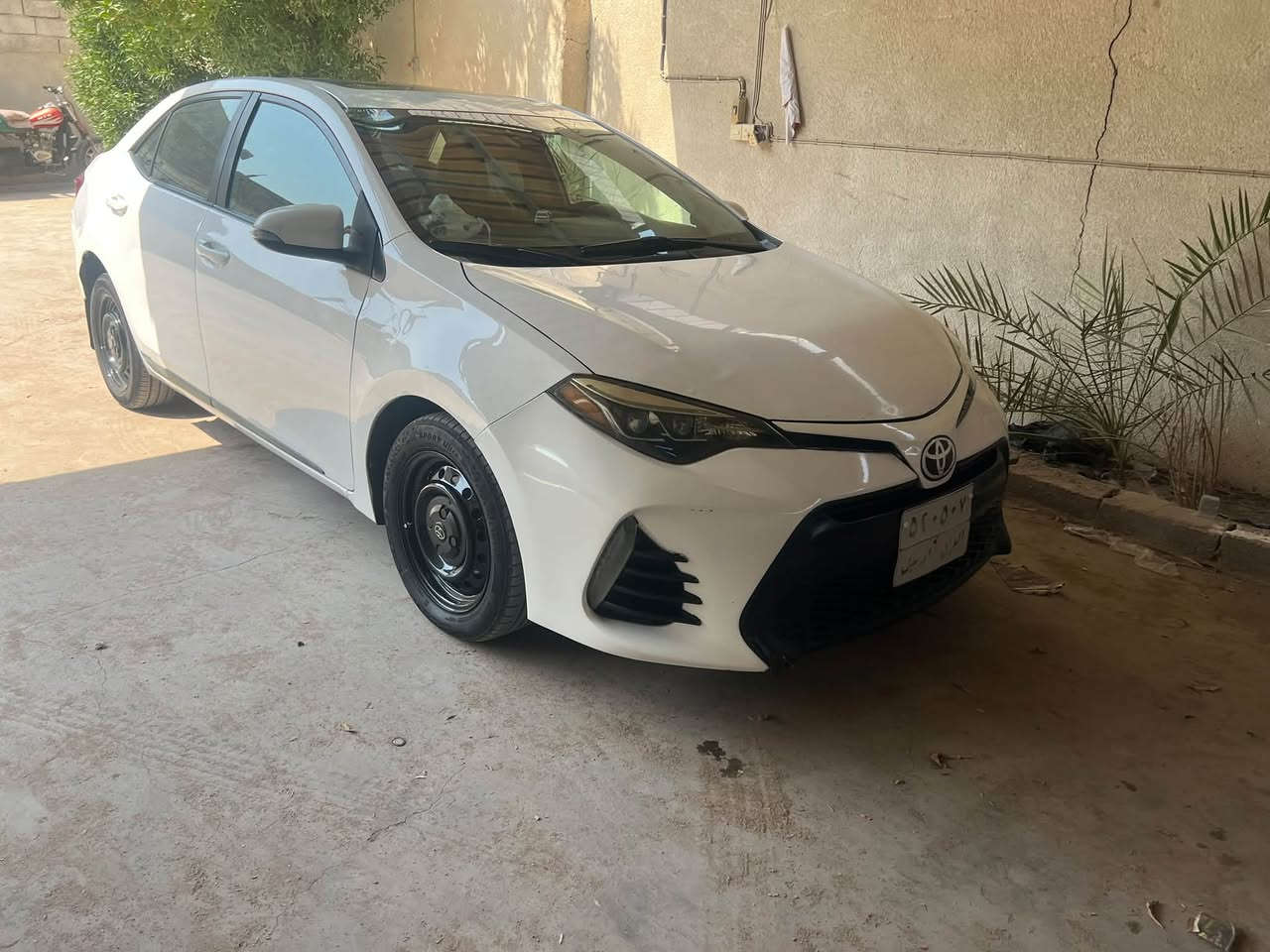 كورله • ٢٠١٧ • رقم اربيل