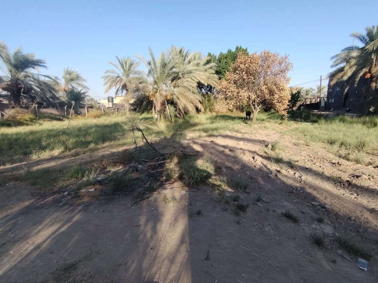 السلام عليكم قطعة ارض مساحة ٤٨٠٠ متر سند ٢٥ بإسمي بواجهة ٦٠ ونزال ٨٠  الموقع السياحي قرب الامام الحسن تبعد عن شارع التبليط ٨٠ متر متوفره كافة الخدمات ماء كهرباء مدارس ابتدائية ومتوسطة السعر ٢٥٠ مليون قابل للتفاوض للاتصال رقم صاحب القطعة *********** #ملاحضة مكلف بالنشر !!
