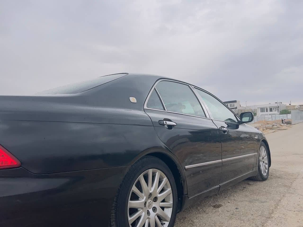 شاهين • ٢٠٠٧ • ماكو رقم