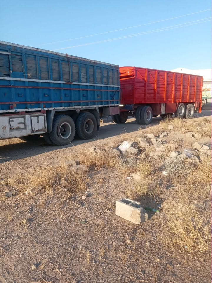مقطورة للبيع
الاتصال ***********

‭***********‬
